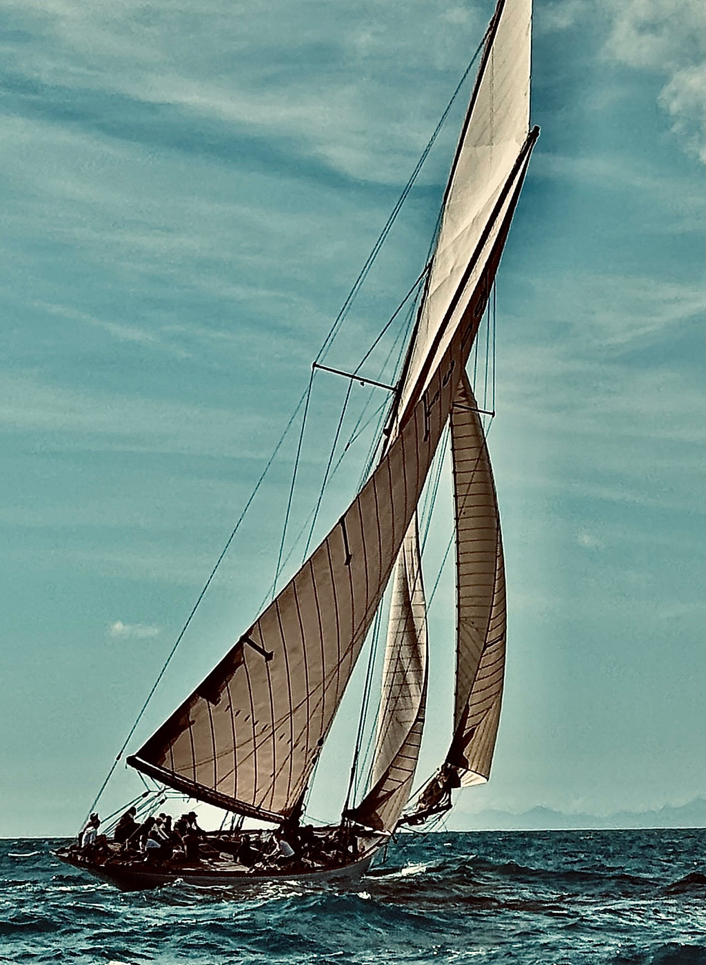 VELA | 100% Arabica