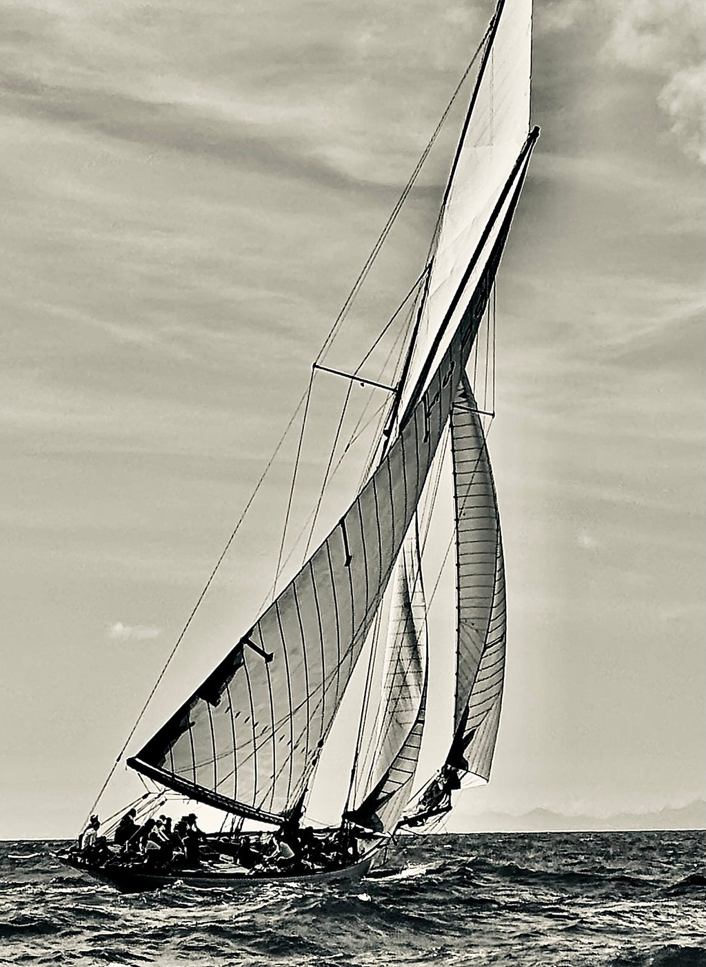 VELA | 100% Arabica